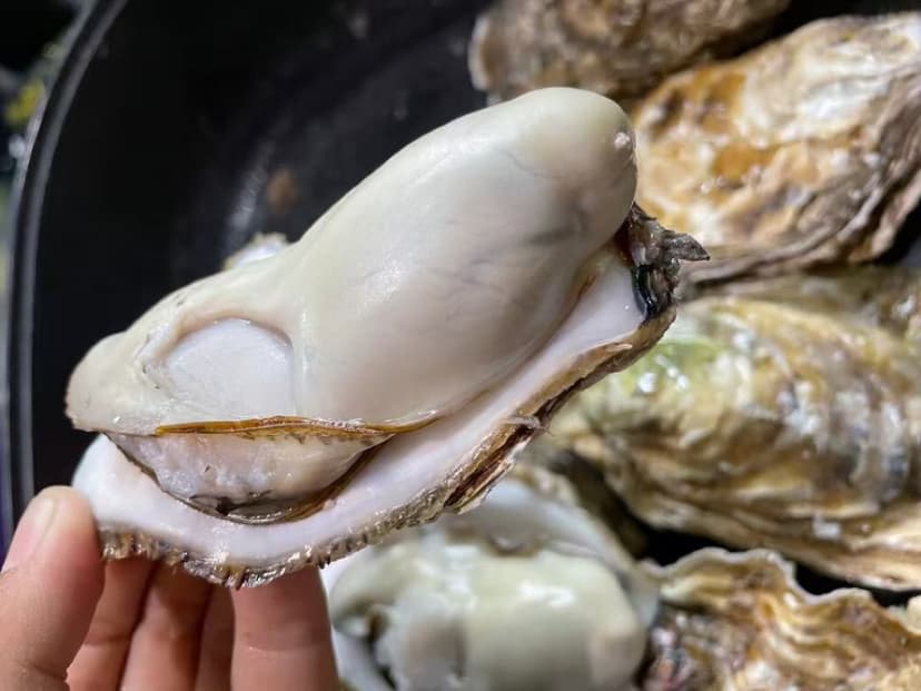 港城鲜时令海鲜粤西生蚝