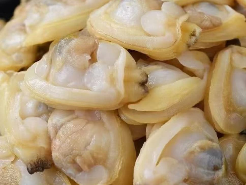 港城鲜特色小海鲜花甲