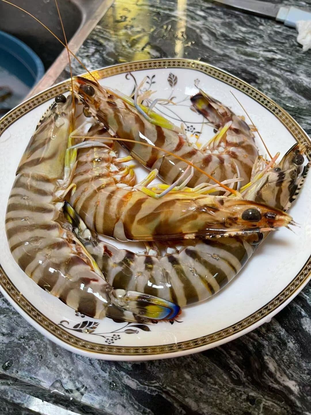 野生大花虾